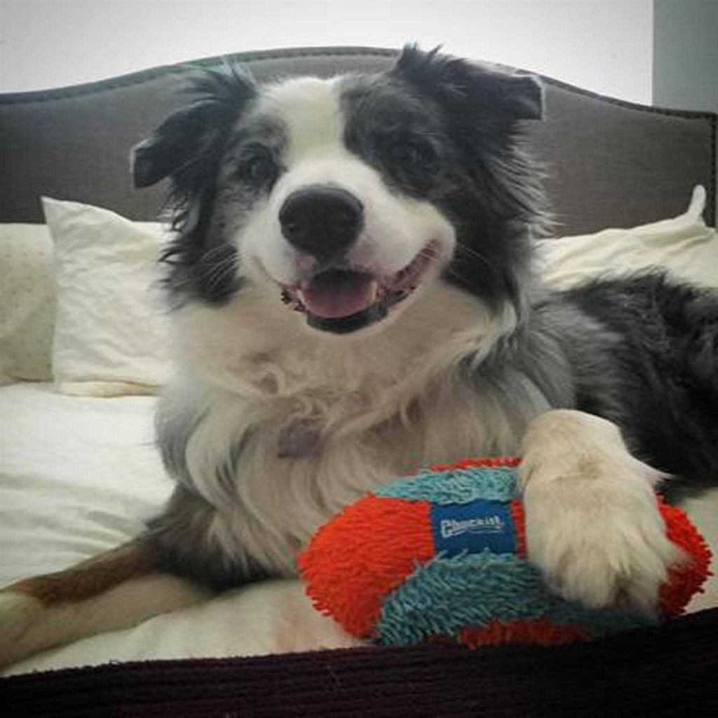 Indoor Dog Toy O601320