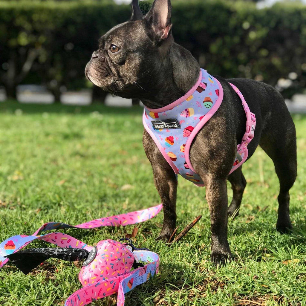 Reversible Dog Harness Q54412