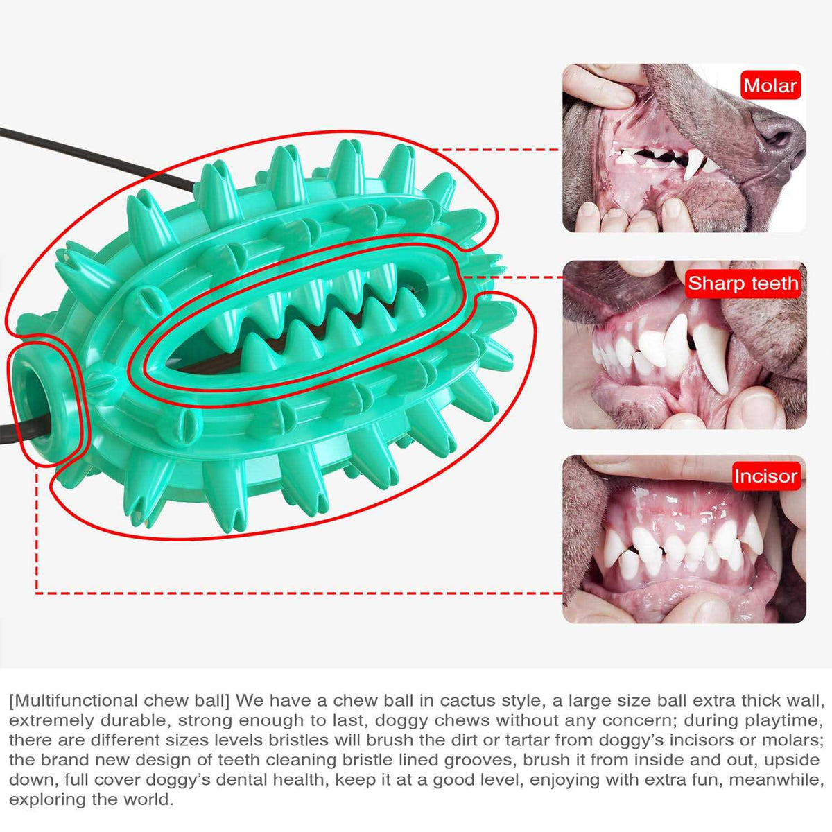 Toothbrush Dog Chew Toy T269634