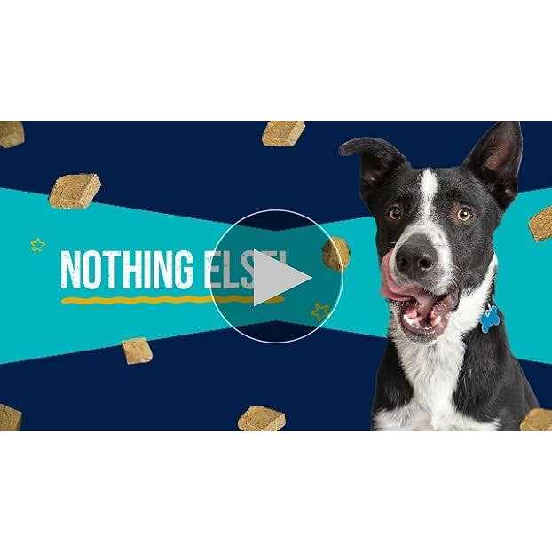 Freeze Dried Chicken Dog Treats D883