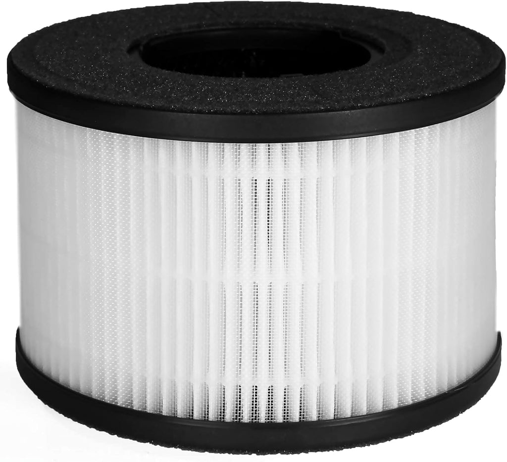 HEPA Replacement Filters Pack of 2 T237460