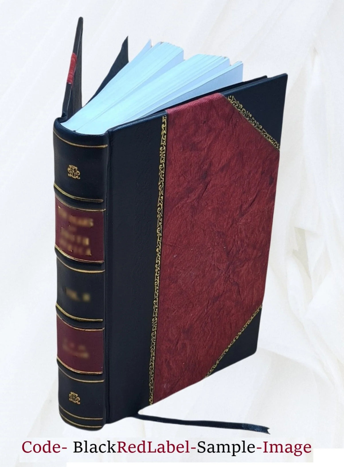 Leather Bound Book B985393