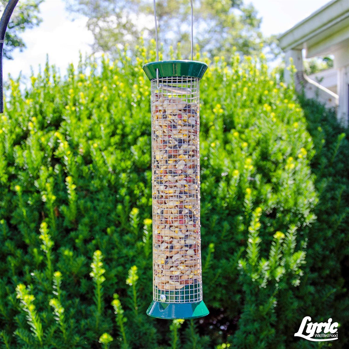 Fruit & Nut Wild Bird Mix U901736